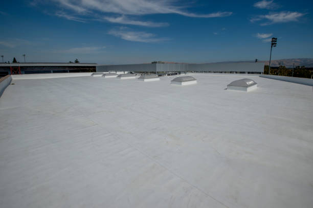Best Skylight Installation and Repair  in Lakeland South, WA